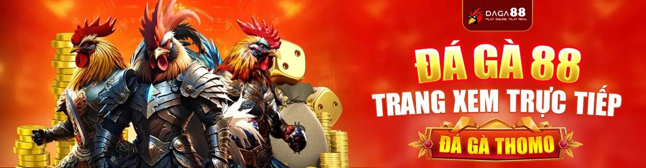 Trải nghiệm di động vnq8 chính thức